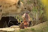 leipzig zoo-01_07_2011_zoo_allgemein_366